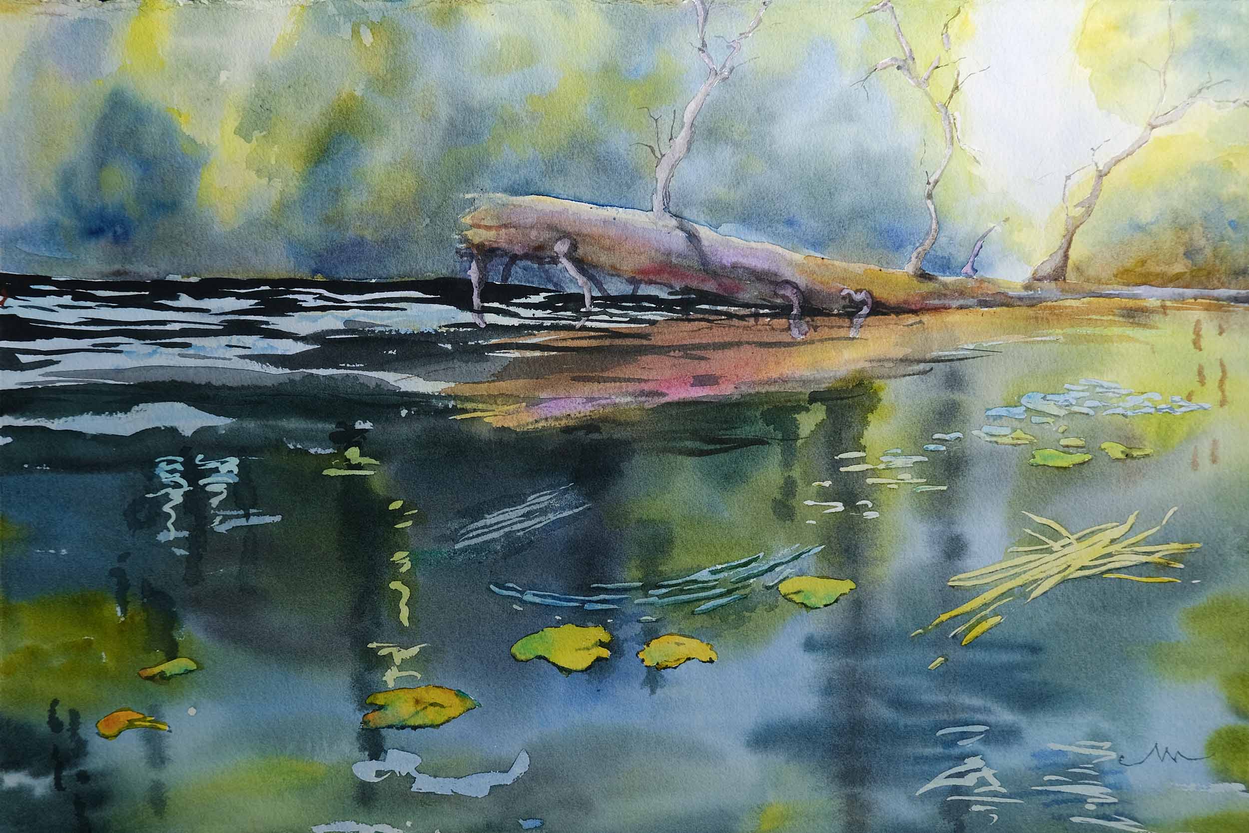 View from the Water Entropy Rebirth
