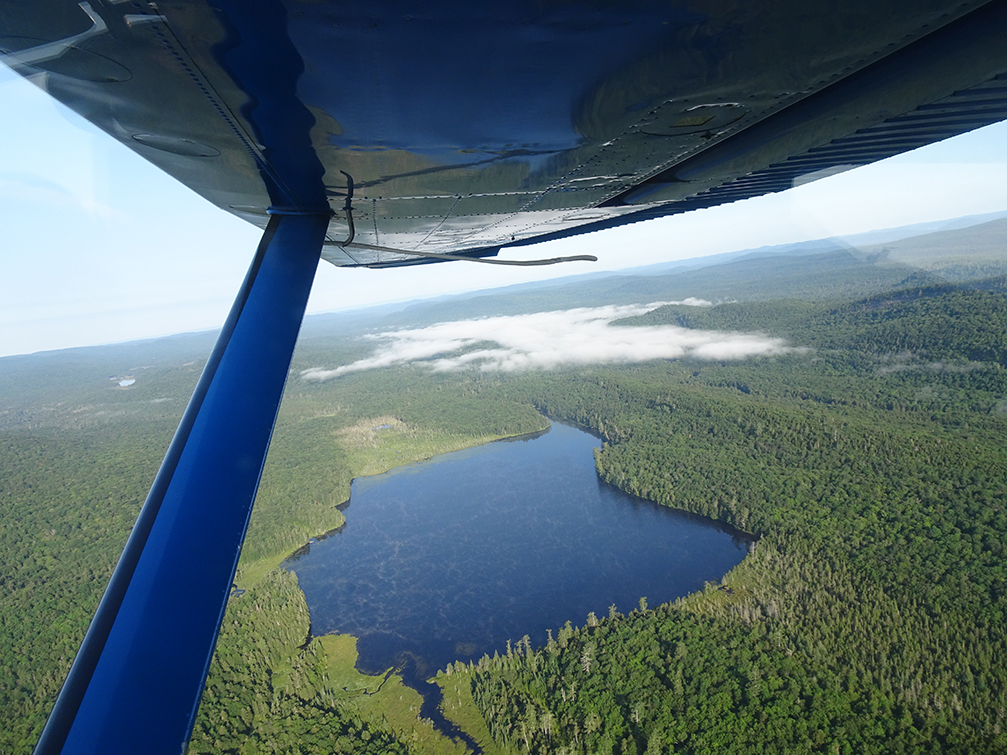 GL 269 blanket of fog below Beaver Lake at the intersection of the Moose and Indian Rivers