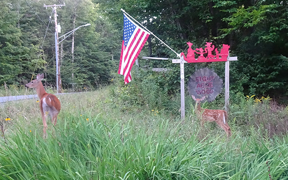 GL 272 Doe and Fawn at Eight Acre Wood 