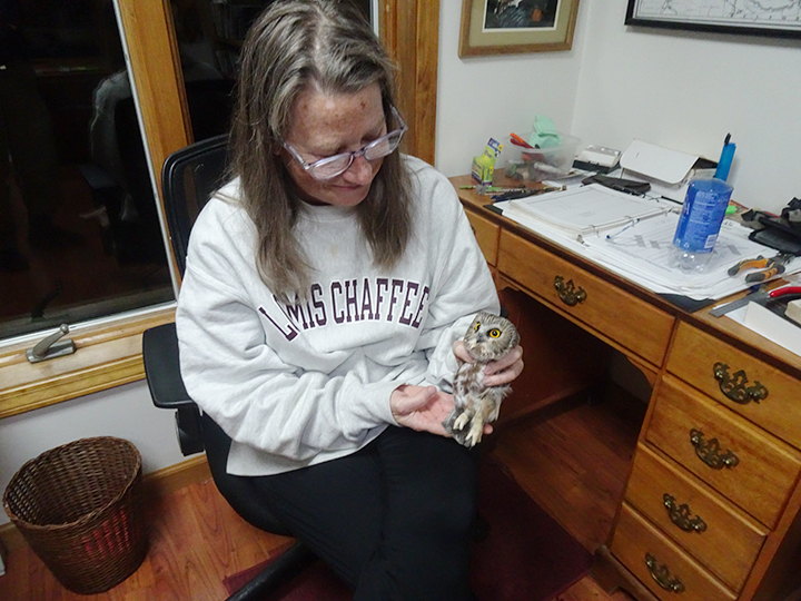 GL 283 Amy Sauer with Saw Whet Owl